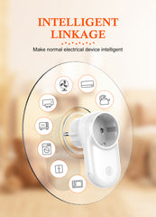 Smart Socket(SEW1058)